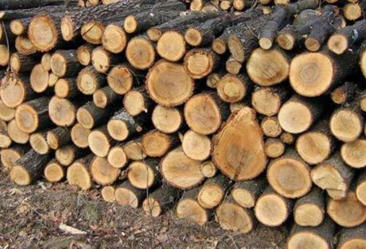 Східне КЕУ: Тендери на Дрова та Проблеми з Лупійчуком