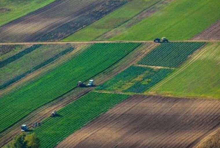 Земля за безцінь: в Обухові продали 58 гектарів громади без аукціону